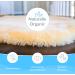 Buy 100% Medical Sheepskin Heel Cushion Bootie | Soft Lambswool Protectors for Pressure Sores & Comfort - International Shipping Available - Buy Online on GoSupps.com