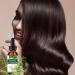 Rosemary Oil for Hair Growth | Pure Organic 60ml Essential Oil for All Hair Types | Pfrank - Buy Online on GoSupps.com