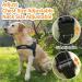 Eeyfarog No Pull Dog Harness for Small & Medium Dogs - Reflective Adjustable Safe Black - Ideal for Comfort & Control - Buy Online on GoSupps.com