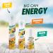 Batiste Dry Shampoo Tropical Fragrance Value Pack Refresh Hair and Absorb Oil Between Washes Waterless Shampoo for Added Hair Texture and Body Large Format 350 mL Tropical 350 g (Pack of 1) - Buy Online on GoSupps.com