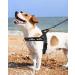 Eeyfarog No Pull Dog Harness for Small & Medium Dogs - Reflective Adjustable Safe Black - Ideal for Comfort & Control - Buy Online on GoSupps.com