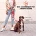 Vitazoo 3m Nylon Dog Leash - Adjustable Guide Lines with Carabiners for All Dog Sizes - Graphite & Red - Buy Online on GoSupps.com