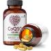 Futurebiotics CoQ10 100 MG | Cellular Energy Production | 60 Vegetarian Capsules - International Shipping Available - Buy Online on GoSupps.com