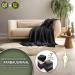 Sinnlein Heating Ceiling 200x180cm - T V S d GS Checked | Electric Thermal Blanket with Timer & 9 Temp Levels | Washable | Digital Display | Cuddly Black Blanket - Buy Online on GoSupps.com