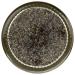 365 by Whole Foods Market  Poppy Seed  2.01 Ounce - Buy Online on GoSupps.com