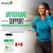 Renew Actives Coffee Bean Extract: 800mg Green Coffee Bean Extract Capsules for Weight Management Programs. Helps Support Cardiovascular Health & Provides Antioxidants - Vegan Supplement with 50% GCA - 90 Capsules. NON-GMO. Free of Dairy Soy & Sugar. (2 P - Buy Online on GoSupps.com