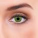 Buy Lenzotica Solid Green Contact Lenses - Natural Coverage 1 Pair (2 Pieces) 14.00mm 0.00 Diopters 3-Month Soft Lens Includes Container - International Shipping Available - Buy Online on GoSupps.com