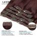 LacerHair 14 120g 7pcs #99J Deep Burgundy Clip In Human Hair Extensions - Silky Salon Professional Double Weft Real Human Hair - Pack of 1 - Buy Online on GoSupps.com