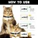 Buy Adjustable Waterproof Cat Neck Collar for Kittens & Cats - Fits 4 to 24 Months 48cm - Black - Buy Online on GoSupps.com