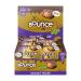 Bounce Hazelnut Praline Plant Protein Balls Coated in Smooth Dark Chocolate 12 x 40g Individual Vegan Protein Balls Hazelnut Praline 12 Count (Pack of 1)