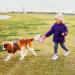 Retractable Dog Lead 5M Long Extendable with Non-Slip Handle & Adjustable Dog Lead One-Hand Brake Pause Lock 360 Universal Anti-winding with Bonus Training Clicker for Small Medium Dogs (Pink) - Buy Online on GoSupps.com