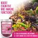 XPRS Nutra Organic Elderberry Juice Powder - Vitamin-Rich Elderberries Supplement - 8 oz - Buy Online on GoSupps.com