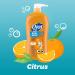 Dial Kids Body Wash Citrus 32 fl oz - Hypoallergenic Formula - Buy Online on GoSupps.com