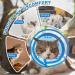 Buy Ohcozzy Adjustable Sore Crane Cat Collar - Transparent & Breathable Protective Collar (S Gray) | Pet Recovery Solution - Buy Online on GoSupps.com