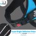 Pawpawify Sky Blue Dog Harness - No Pull Personalized Name & Phone Durable Vest for Training & Walking (Chest 24-31in) - Buy Online on GoSupps.com