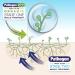 Liquipak Mould Remover and Preventer - Two Stage Mould Treatment and Disinfectant Effective Long term solution Non-toxic Eco-friendly Odourless Stage One 5L & Stage Two 5L - Buy Online on GoSupps.com