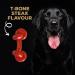 Rosewood 57042 TastyBone Extra Robust Knotted T-Bone Dog Toy - Durable Nylon Beef Flavor for All Dogs - International Shipping Available - Buy Online on GoSupps.com