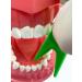 Buy Durable Dental Floss Holder in Blue Yellow & Green Ideal for International Shipping - Buy Online on GoSupps.com