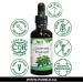 Goldenseal Root Super Strength Holistically Standardized Fluid Extract. 70 Servings NATURAL BERBERINE - Traditional Herbal Immune Enhancer & Bitter to Aid Digestion - Gluten-Free Non-GMO Kosher Corn-Free Soy-Free Vegan & Paleo (50 ml) - Buy Online on GoSupps.com