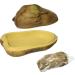 Exo Terra PT2847 Large Snake Cave - Ideal Habitat for Reptiles | International Shipping Available - Buy Online on GoSupps.com