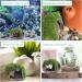 Shop Aquarium Decoration - Realistic Moos Deko Resin Cave Ornament for Fish & Shrimp | 3.34 x 2.55 x 2.75 inches - B-green - Buy Online on GoSupps.com
