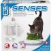 Catit Senses Grass Garden - 1.63 lbs | Natural Cat Grass for Indoor Cats - Buy Online on GoSupps.com