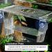 FVIEXE 4PCS Acrylic Fish Tank Breeder Box - Divider & Hatchery Incubator for Guppy, Shrimp & Baby Fish - Buy Online on GoSupps.com