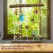 Parrot Climbing Ladder Swing Toy for Bird Cage - Chewable Wooden Perch Stand for Parrot, Conure, Finch, Cockatoo - Hanging Rope Swing for Budgie, Lovebird, Parakeets - H01 - Buy Online on GoSupps.com