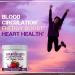 Superfood Beet Powder for Heart Health | Nitric Oxide Green Tea BCAA Non-GMO Berry Flavor | 10.59 oz - Buy Online on GoSupps.com