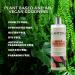 Plantoria Peach Body Wash - Natural Plant-Based Bodywash for Women & Men | Antioxidant-Rich Skin Care with Deionized Water, Sweet Almond & Cactus - Vitamin A & C Boost - Buy Online on GoSupps.com