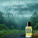 AARVVINTA CRAFT Eau De Parfum for Men Long Lasting Casual Earthy Fragrance 1.7 fl oz - Buy Online on GoSupps.com