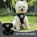 Buy Nizirioo Cat Harness & 2 Safe Cat Dishes - Stylish Black Set for Small Medium Pets - Buy Online on GoSupps.com