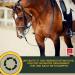 Premium Vitamin Paste for Horses | Amino Acids & Energy Booster | Muscle Regeneration & Performance | 3x30ml - Buy Online on GoSupps.com
