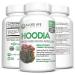 Allied Life Hoodia Gordonii Vegan Appetite Suppressant - 60 Capsules - Buy Online on GoSupps.com
