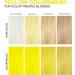 Celeb Luxury Viral Semi Permanent Colorwash Shampoo - Extreme Yellow 240ml - Buy Online on GoSupps.com