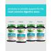 Zenwise Health No Bloat Probiotic - DE111, 60 Veggie Capsules for Digestive Relief - Buy Online on GoSupps.com