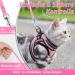 Rabbitgoo Adjustable Cat Dishes Set with Leash - Soft Reflective Stripes for Cats & Kittens - Pink (1 Pack) - Buy Online on GoSupps.com