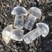 Natural Crystal Rough 40-50mm Crystal Mushroom Natural Clear Quartz Mushrooms Lovely Rose Crystal Stone Agaric Home Decoration Can be Used for Home Office Decoration 1pc - Buy Online on GoSupps.com