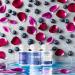Blueberry Scented Probiotic Vaginal Suppositories | 30 Vegan Capsules with Aloe Vera for pH Balance | 360 Billion CFU | Peachbody - Buy Online on GoSupps.com