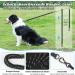Shop Aystkniet Bungee Drag Line for Dogs - Shock-Absorbing Leash in 3m 5m 10m 15m 20m 30m | Padded Handle & Reflective Threads | Ideal for Medium to Large Dogs - Buy Online on GoSupps.com