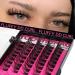 TOOCHUNAG B-Natural Fluffy DD Curl Cluster Lash Extensions for DIY Russian Wispy Eyelash Clusters - Buy Online on GoSupps.com