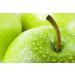 APPLE STEM CELLS THERMAL PROTECTOR BLOW-DRY SILK BLOWOUT Leave-in Conditioner Anti-frizz and Shine Spray - Buy Online on GoSupps.com