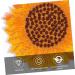Operitacx 30 pcs Cloth Durable Sunflower Delicate Elegant Unique Embroidery Clothes Practical Creative Flower Yellowx3pcs 6X6cmx3pcs - Buy Online on GoSupps.com
