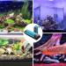 Magtool 100-1500W Aquarium Heater - Digital Fish Tank Heater with Overheating Protection & Auto Shutdown for Freshwater & Saltwater - Buy Online on GoSupps.com