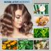 Intensive Rejuvenating Treatment - 33.8 oz Salon Quality Hair Care with Bee Propolis & Herbs | Volume Shine & Damage Repair for All Hair Types - Buy Online on GoSupps.com