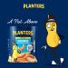 Planters Salted Cashew Halves & Pieces (14 oz Canister) Salted 1 - Buy Online on GoSupps.com