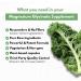 Pure Magnesium Glycinate Capsules - Non-Buffered 350mg Elemental Magnesium Supplement - Chelated High Absorption & Purity Magnesium Complex - Made in USA - Buy Online on GoSupps.com