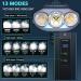 Victagen 8000 Lumen Bike Lights for Night Riding - 3 Cree LED Headlight with High/Low Beam, Rechargeable TypeC Bicycle Light + Free Tail light - VTG8 - Buy Online on GoSupps.com