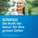 Ginkgo Stada 240 mg - Improve Cognitive Function & Quality of Life for Mild Dementia | 30 Film-Coated Tablets | International Shipping Available - Buy Online on GoSupps.com