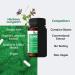 Herboxa Lungwort Lung Support Supplement - Clear Lungs & Detox Capsules - Lung Cleanse for Health & Revitalization - 60 Vegan Capsules - Buy Online on GoSupps.com